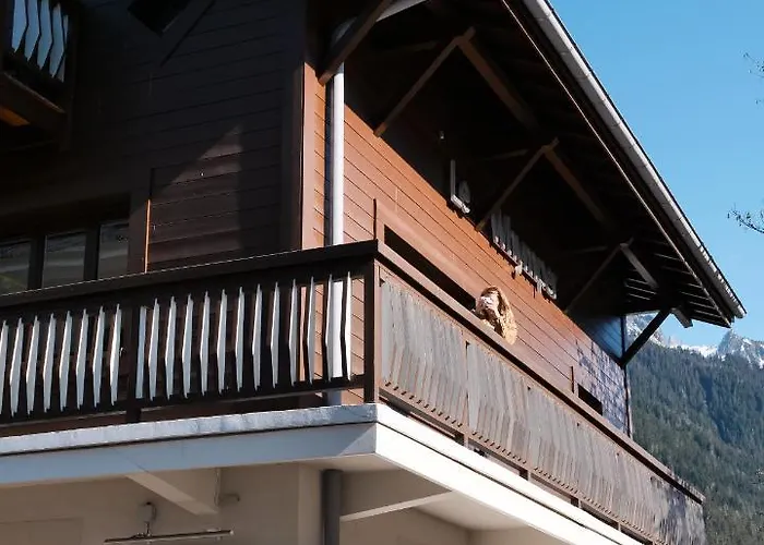 Le Whymper Chamonix