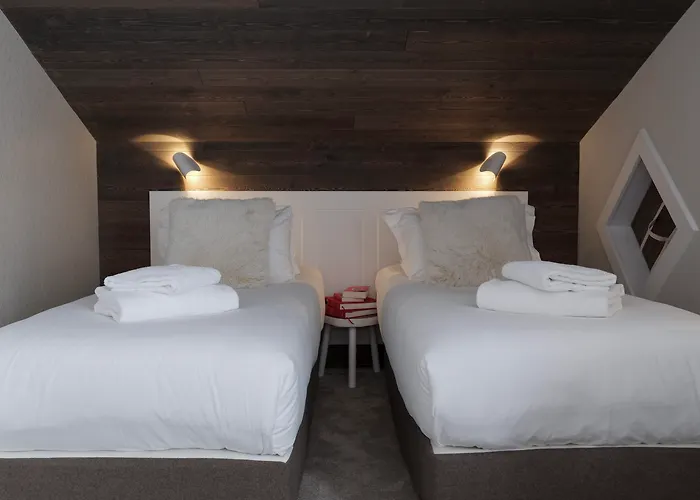 Hotel Le Whymper 4*